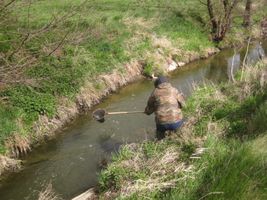 Kocába 2 Daleké Dušníky 15.4.14 (1).JPG